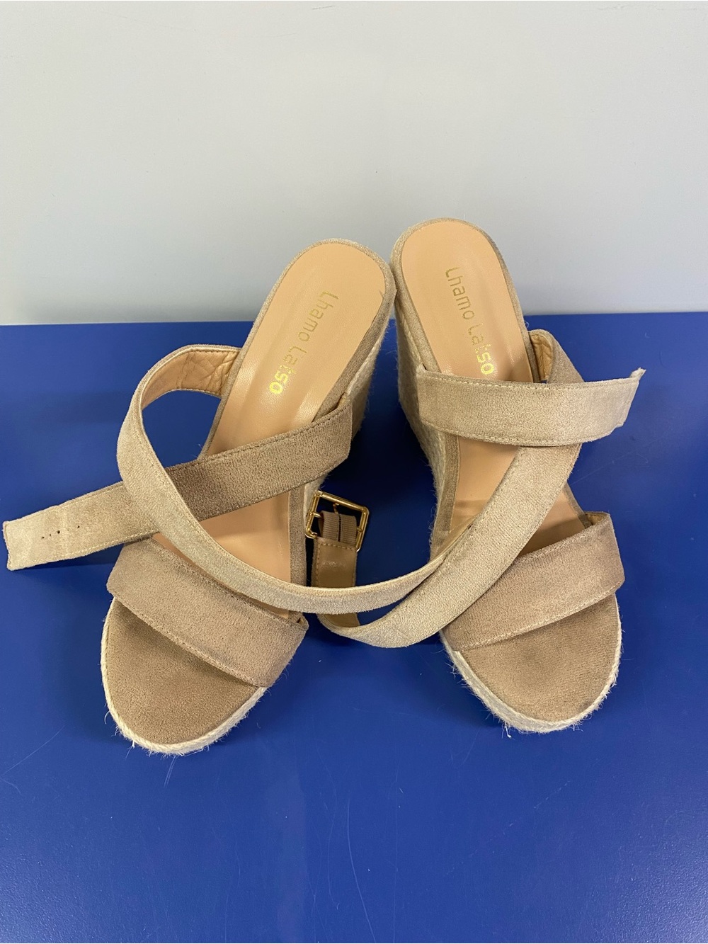 Lhamo Lasso Beige Suede Espadrille Wedge Sandals